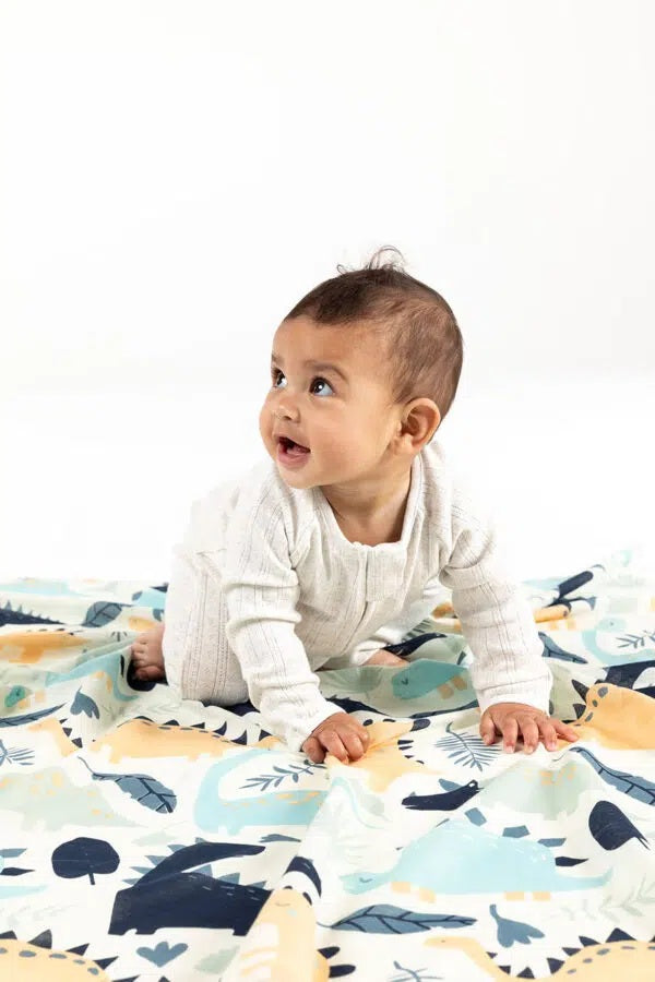 Indus - Baby Swaddle Dinosaur