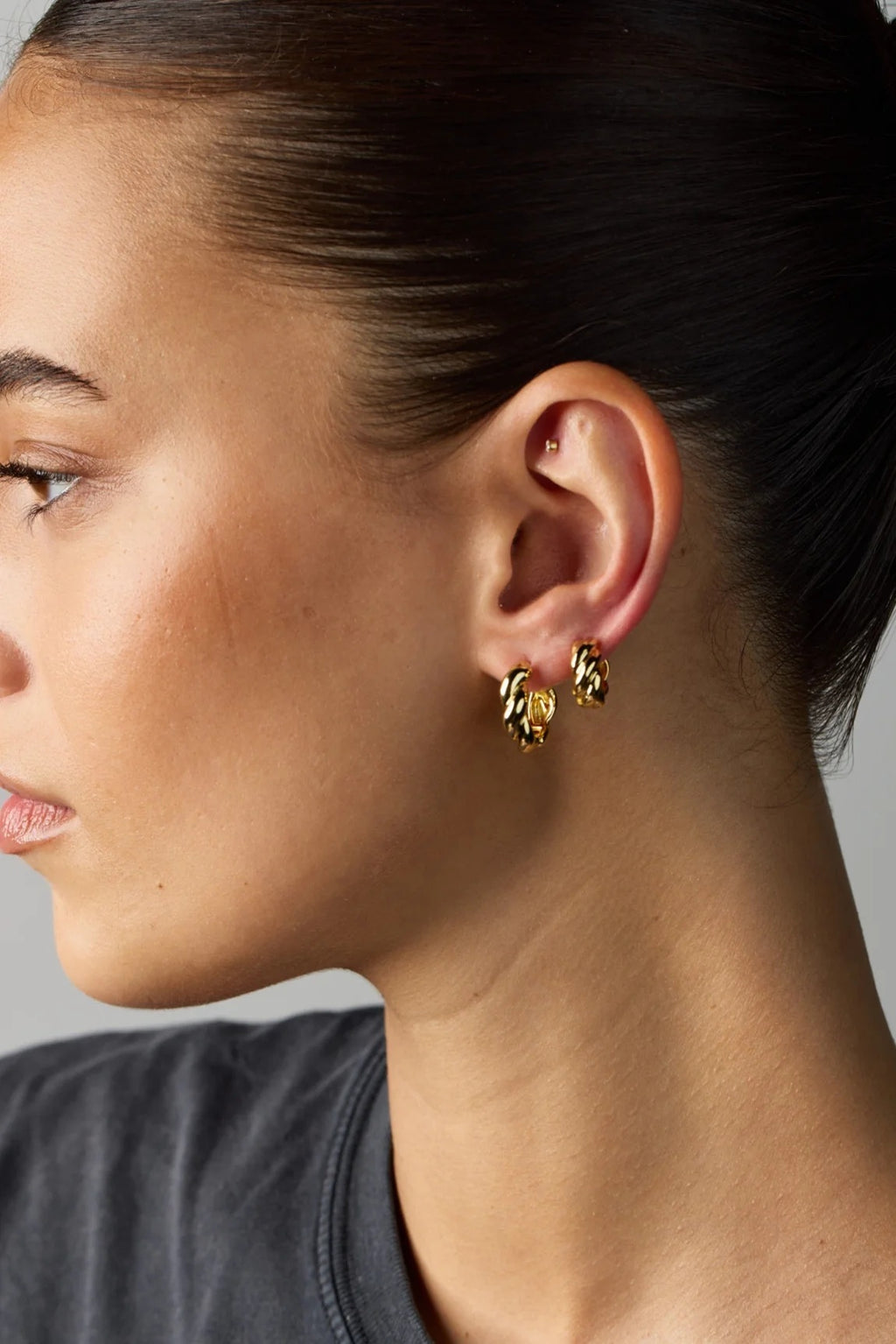 Zafino - Maya Hoop [sz:hoop Clr:gold]