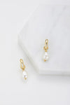 Zafino - Charlie Mini Hoop [sz:mini Clr:gold]