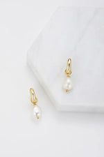 Zafino - Charlie Mini Hoop [sz:mini Clr:gold]